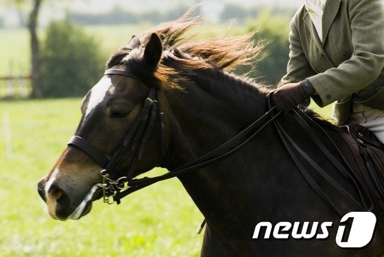 ì˜ìƒ 1ê°œë‹¹ 1ì–µì› ì•„ì—­ë°°ìš° ì¶œì‹  ìŠ¹ë§ˆì„ ìˆ˜ ì „ ì—¬ì¹œ í˜'ë°• íŒŒì´ë‚¸ì…œë‰´ìŠ¤