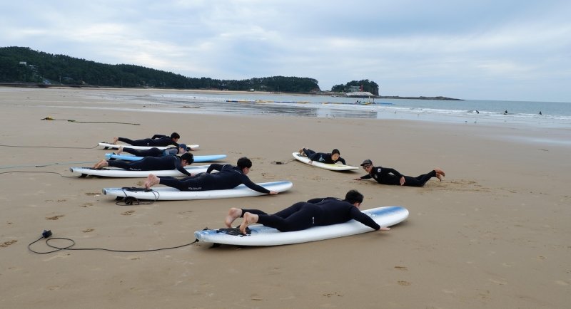 충남 워케이션 참여자들이 태안 만리포해수욕장에서 서핑 체험하는 모습. ⓒ사진 충남도 제공, 연합뉴스